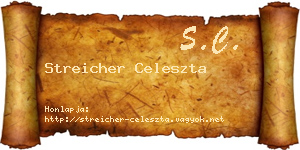 Streicher Celeszta névjegykártya